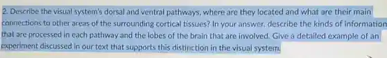 2. Describe the visual system's dorsal and ventral pathways, where are they located and what are their main
connections to other areas of the surrounding cortical tissues? In your answer.describe the kinds of information
that are processed in each pathway and the lobes of the brain that are involved. Give a detailed example of an
experiment discussed in our text that supports this distinction in the visual system. square