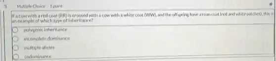 3
Multiple Choice 1 point
If a cow with a red coat (RR)is crossed with a cow with a white coat (WW), and the offspring have a roan coat (red and white patches), this is
an example of which type of inheritance?
polygenic inheritance
incomplete dominance
multiple alleles
codominance
x