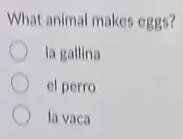 What animal makes eggs?
la gallina
el perro
la vaca