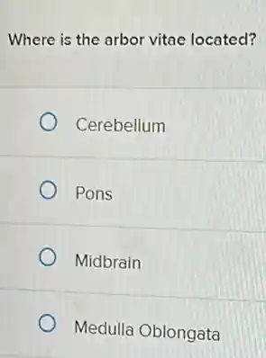 Where is the arbor vitae located?
Cerebellum
Pons
Midbrain
Medulla Oblongata