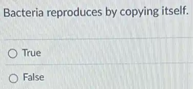 Bacteria reproduces by copying itself.
True
False