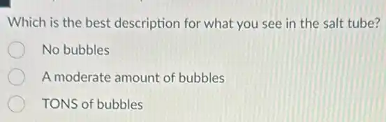 Which is the best description for what you see in the salt tube?
No bubbles
A moderate amount of bubbles
TONS of bubbles