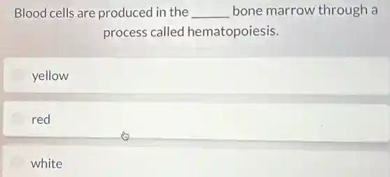 Blood cells are produced in the __ bone marrow through a
process called hematopoiesis.
yellow
red
white
