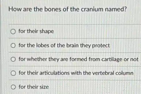 How are the bones of the cranium named?
for their shape
for the lobes of the brain they protect
for whether they are formed from cartilage or not
for their articulations with the vertebral column
for their size