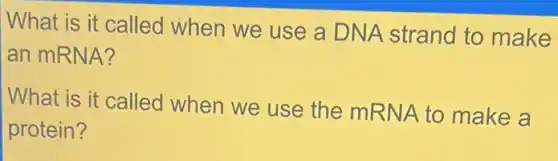 What is it called when we use a DNA strand to make
an mRNA?
What is it called when we use the mRNA to make a
protein?