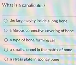 What is a canaliculus?
the large cavity inside a long bone
a fibrous connective covering of bone
a type of bone forming cell
a small channel in the matrix of bone
a stress plate in spongy bone