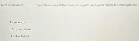A cell membrane is __ if its membrane potential becomes less negative (more positive) than the resting potential.
repolarized
hyperpolarized
depolarized