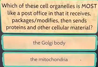 Which of these cell organelles is MOST
like a post office in that it receives.
packages/modifies then sends
proteins and other cellular material?
the Golgi body
the mitochondria