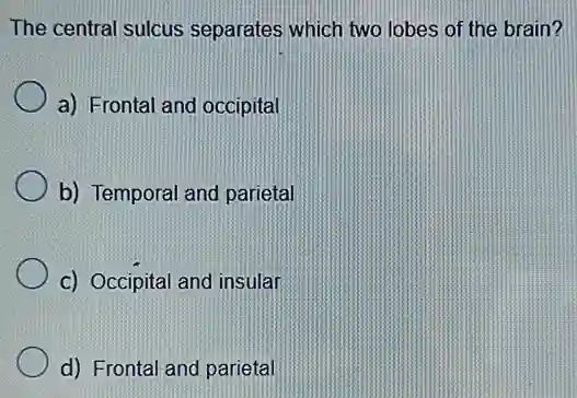 The central sulcus separates which two lobes of the brain?
a) Frontal and occipital
b) Temporal and parietal
c) Occipital and insular
d) Frontal and parietal
