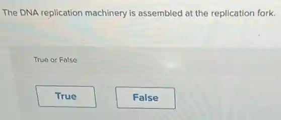 The DNA replication machinery is assembled at the replication fork.
True or False
True
False
