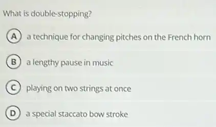What is double-stopping?
A a technique for changing pitches on the French horn
B a lengthy pause in music
C playing on two strings at once
D a special staccato bow stroke