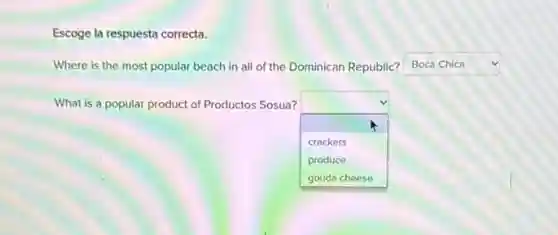 Escoge la respuesta correcta.
Where is the most popular beach in all of the Dominican Republic? square v
What is a popular product of Productos Sosua?
square crackers
produce