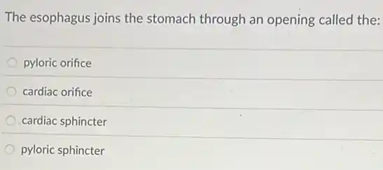 The esophagus joins the stomach through an opening called the:
pyloric orifice
cardiac orifice
cardiac sphincter
pyloric sphincter