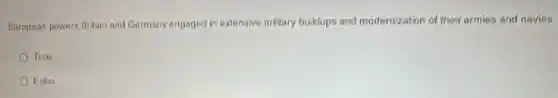 European powers Britain and Germany engaged in extensive military buildups and modernization of their armies and navies
True
False