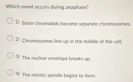 Which event occurs during anaphase?
1) Sister chromatids become separate chromosomes.
2) Chromosomes line up in the middle of the cell.
3) The nuclear envelope breaks up.
4) The mitotic spindle begins to form.