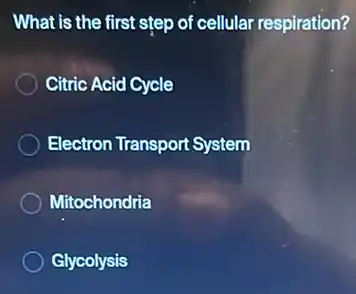 What is the first step of cellular respiration?
Citric Acid Cycle
Electron Transport System
Mitochondria
Glycolysis