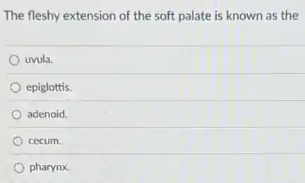 The fleshy extension of the soft palate is known as the
uvula.
epiglottis.
adenoid.
cecum.
pharynx.
