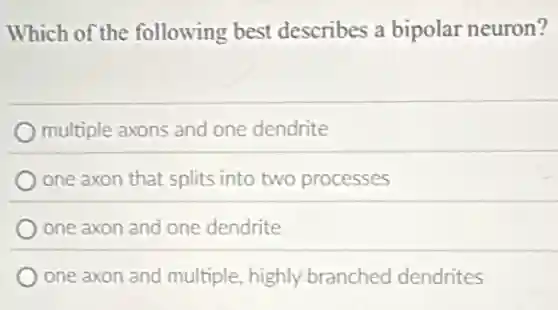 Which of the following best describes a bipolar neuron?
multiple axons and one dendrite
one axon that splits into two processes
one axon and one dendrite
one axon and multiple, highly branched dendrites