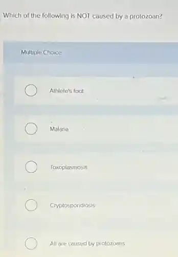 Which of the following is NOT caused by a protozoan?
Multiple Choice
Athlete's foot
Malaria
Toxoplasmosis
Cryptosporidiosis
All are caused by protozoans