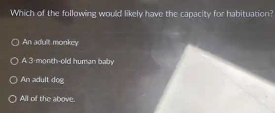Which of the following would likely have the capacity for habituation?
An adult monkey
A 3-month-old human baby
An adult dog
All of the above.