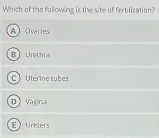 Which of the following is the site of fertilization?
A Ovaries
B Urethra
C Uterine tubes
D Vagina
E Ureters