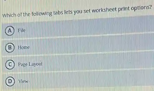 Which of the following tabs lets you set worksheet print options?
A File
B Home
C Page Layout
D View