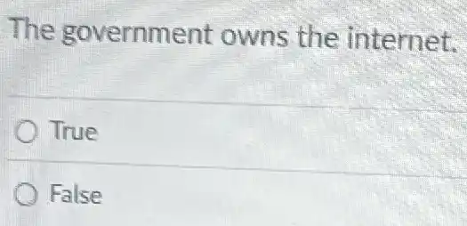 The government owns the internet.
True
False