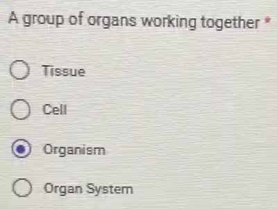 A group of organs working together
Tissue
Cell
C Organism
Organ System