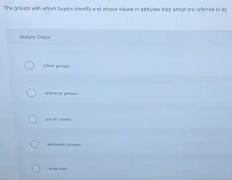 The groups with whom buyers identify and whose values or attitudes they adopt are referred to as
Multiple Choice
ethnic groups.
reference groups.
social classes.
secondary groups.
outgroups