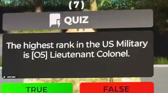 The highest rank in the US Military
is [05] Lieutenant Colonel.
TRUE
FALSE