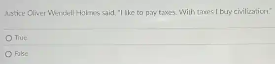 Justice Oliver Wendell Holmes said, "I like to pay taxes. With taxes I buy civilization."
True
False