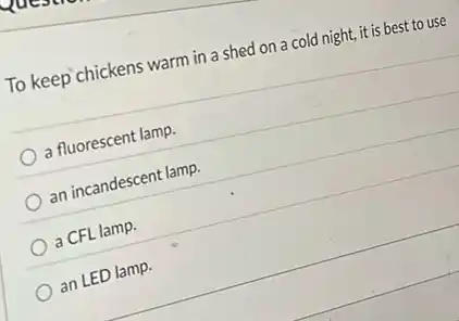 To keep chickens warm in a shed on a cold night, it is best to use
a fluorescent lamp.
an incandescent lamp.
a CFL lamp.
an LED lamp.