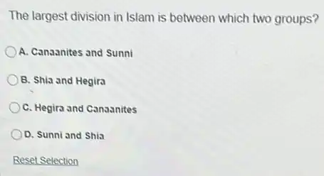 The largest division in Islam is between which two groups?
A. Canaanites and Sunni
B. Shia and Hegira
C. Hegira and Canaanites
D. Sunni and Shia