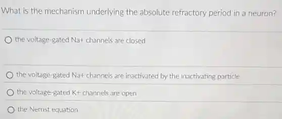 What is the mechanism underlying the absolute refractory period in a neuron?
the voltage-gated Na+ channels are closed
the volutege-gated Na+ channels are in axtivated by the inaxtivating particle
the voltage-gated K+ channels are open
the Nernst equation