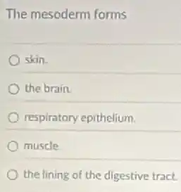 The mesoderm forms
skin.
the brain
respiratory epithelium.
muscle
the lining of the digestive tract.