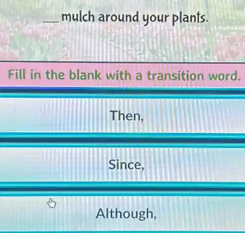 __ mulch around your plants.
Fill in the blank with a transition word.
Then.
Since.
Although,