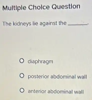 Multiple Choice Question
The kidneys lie against the __
diaphragm
posterior abdominal wall
anterior abdomina wall