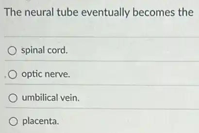 The neural tube eventually becomes the
spinal cord.
optic nerve.
umbilical-vein.
placenta.