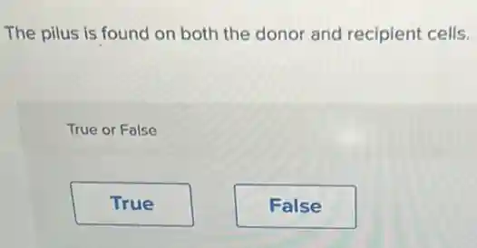 The pilus is found on both the donor and recipient cells.
True or False
True
False