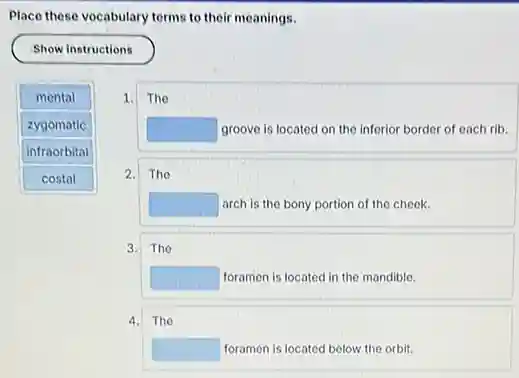 Place these vocabulary terms to their meanings.
Show instructions
mental 1.
zygomatic
infraorbital
costal
2.
The
square groove is located on the inforior border of each rib.
The
square arch is the bony portion of the cheek.
3. The
square foramen is located in the mandible.
4. The
square foramen is located below the orbit.