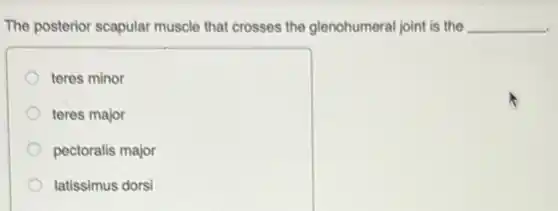 The posterior scapular muscle that crosses the glenohumeral joint is the __
teres minor
teres major
pectoralis major
latissimus dorsi