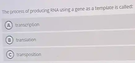 The process of producing RNA using a gene as a template is called:
A transcription
B translation
C transposition