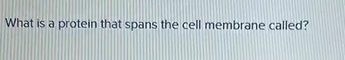 What is a protein that spans the cell membrane called?