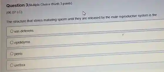Question 3(Multiple Choice Worth 3 points)
(06.07 LC)
The structure that stores maturing sperm until they are released by the male reproductive system is the
vas deferens
epididymis
penis
urethra