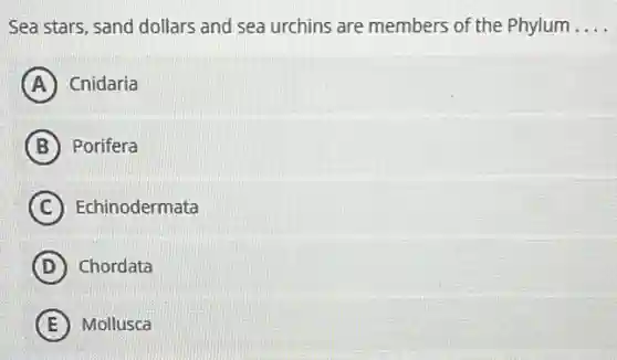 Sea stars, sand dollars and sea urchins are members of the Phylum __
A Cnidaria
B Porifera
C Echinodermata
D Chordata
E Mollusca
