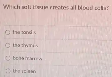Which soft tissue creates all blood cells?
the tonsils
the thymus
bone marrow
the spleen