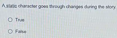 A static character goes through changes during the story.
True
False