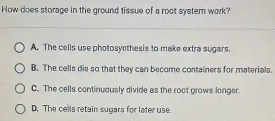 How does storage in the ground tissue of a root system work?
A. The cells use photosynthesis to make extra sugars.
B. The cells die so that they can become containers for materials.
C. The cells continuously divide as the root grows longer.
D. The cells retain sugars for later use.