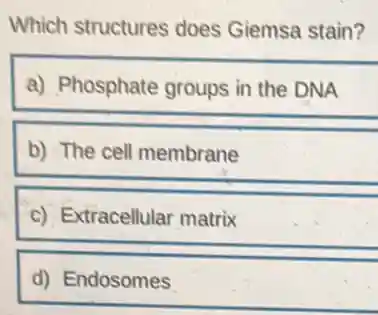 Which structures does Giemsa stain?
a) Phosphate groups in the DNA
b) The cell membrane
c) Extracellular matrix
d) Endosomes