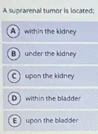 A suprarenal tumor is located:
A within the kidney
B under the kidney
C upon the kidney
D within the bladder
E upon the bladder